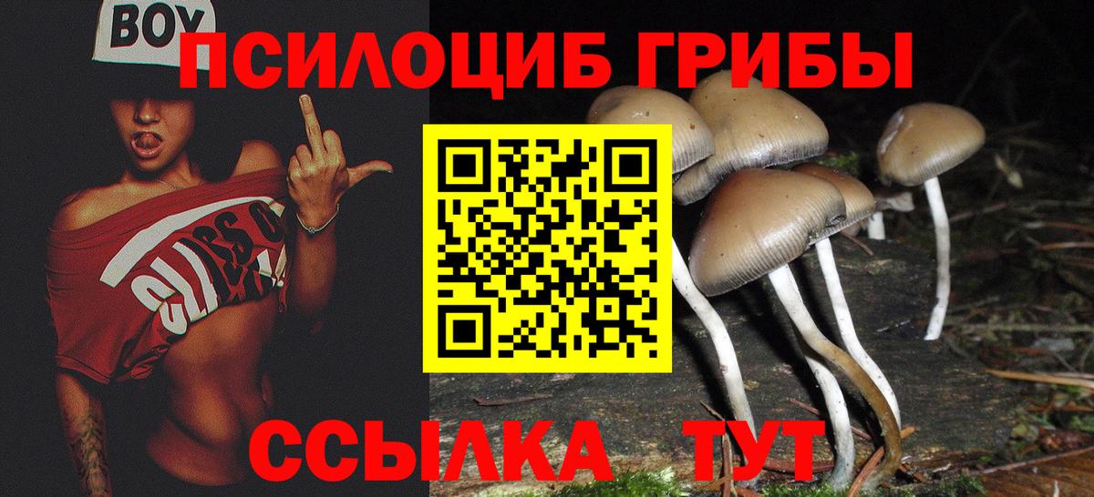 Родники  Галлюциногенные грибы Psilocybine cubensis  Вход с VPN 